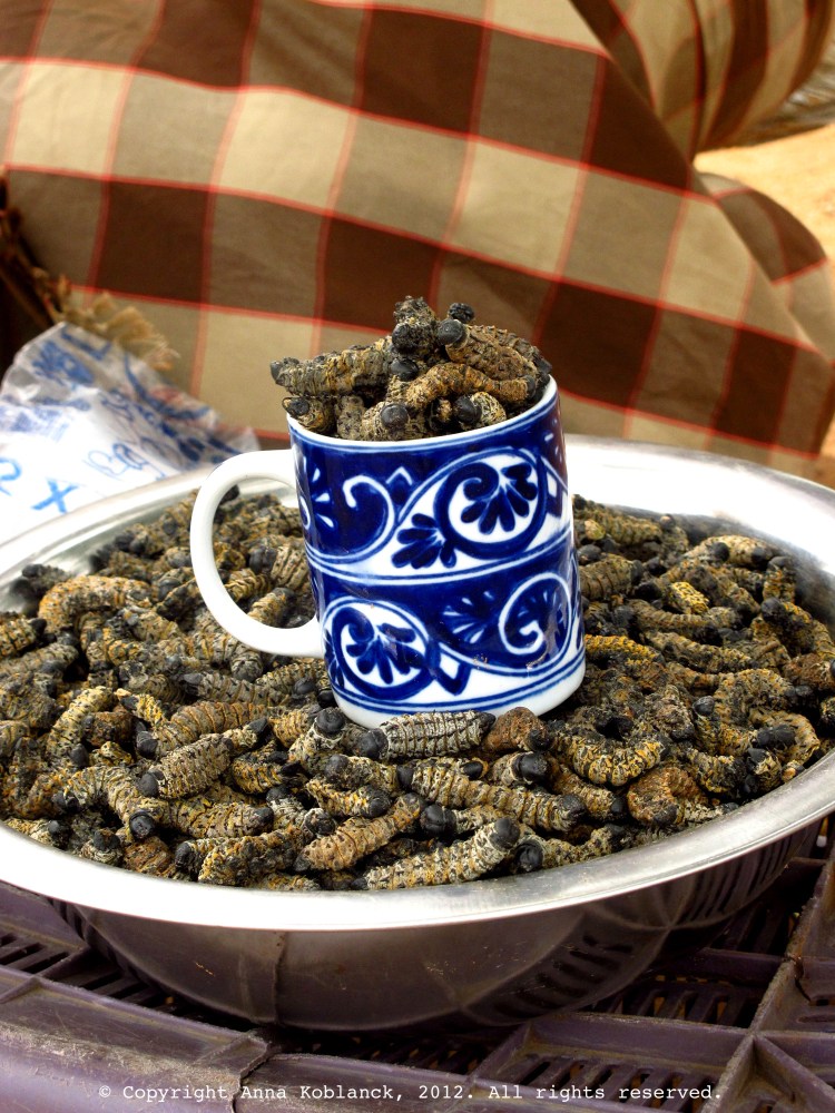 Dried pane for sale along the road from Selebi-Phikwe to the border post at Martin's Drift.