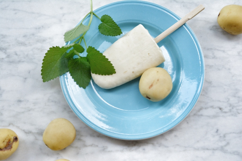 Marula Jam Marula ice cream – southern Africa